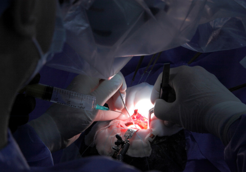 dental
