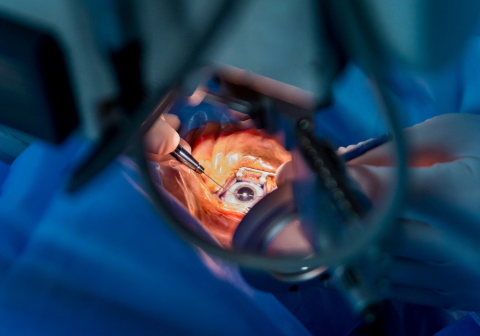 dental