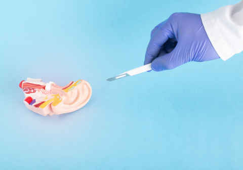 dental