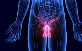 erectile dysfunction